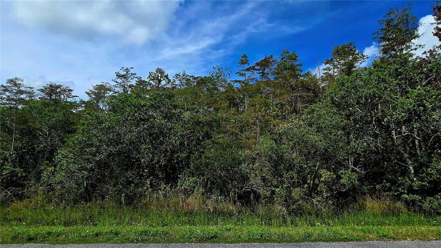 Property photo for PIERRE AVENUE, #Lot 162, St Cloud, FL