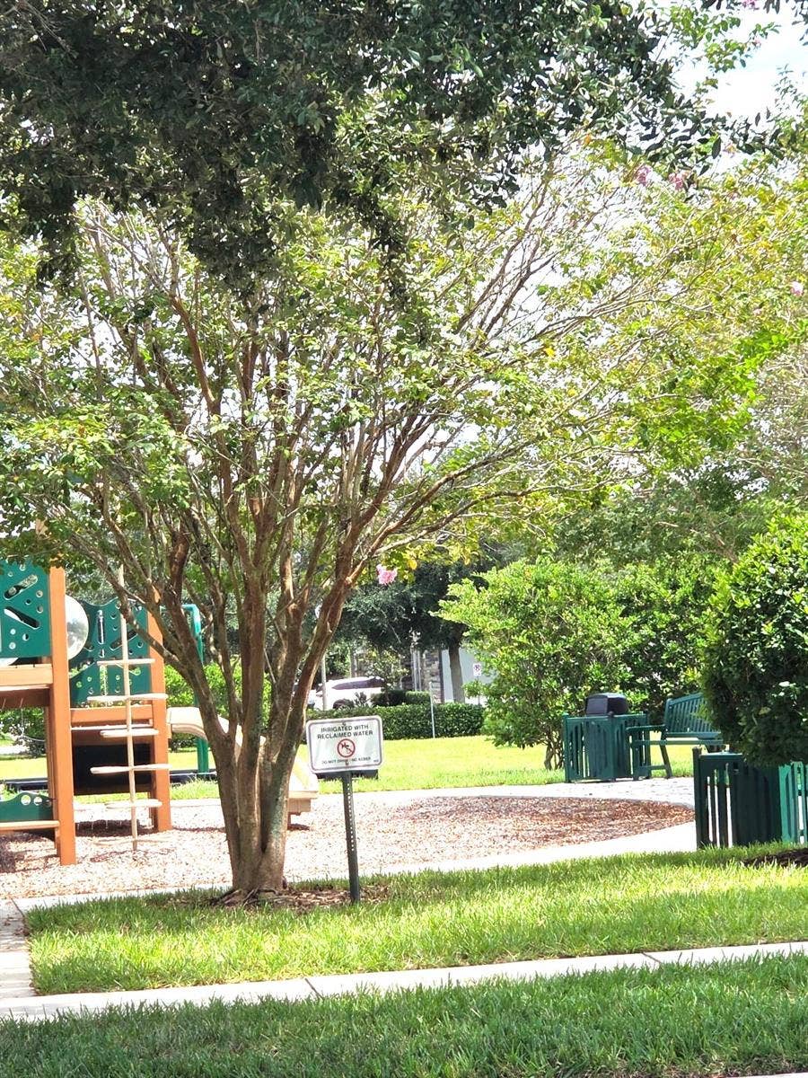15717 KINNOW MANDARIN LANE, Winter Garden, FL 34787 15717 KINNOW MANDARIN LANE, Winter Garden, FL 34787