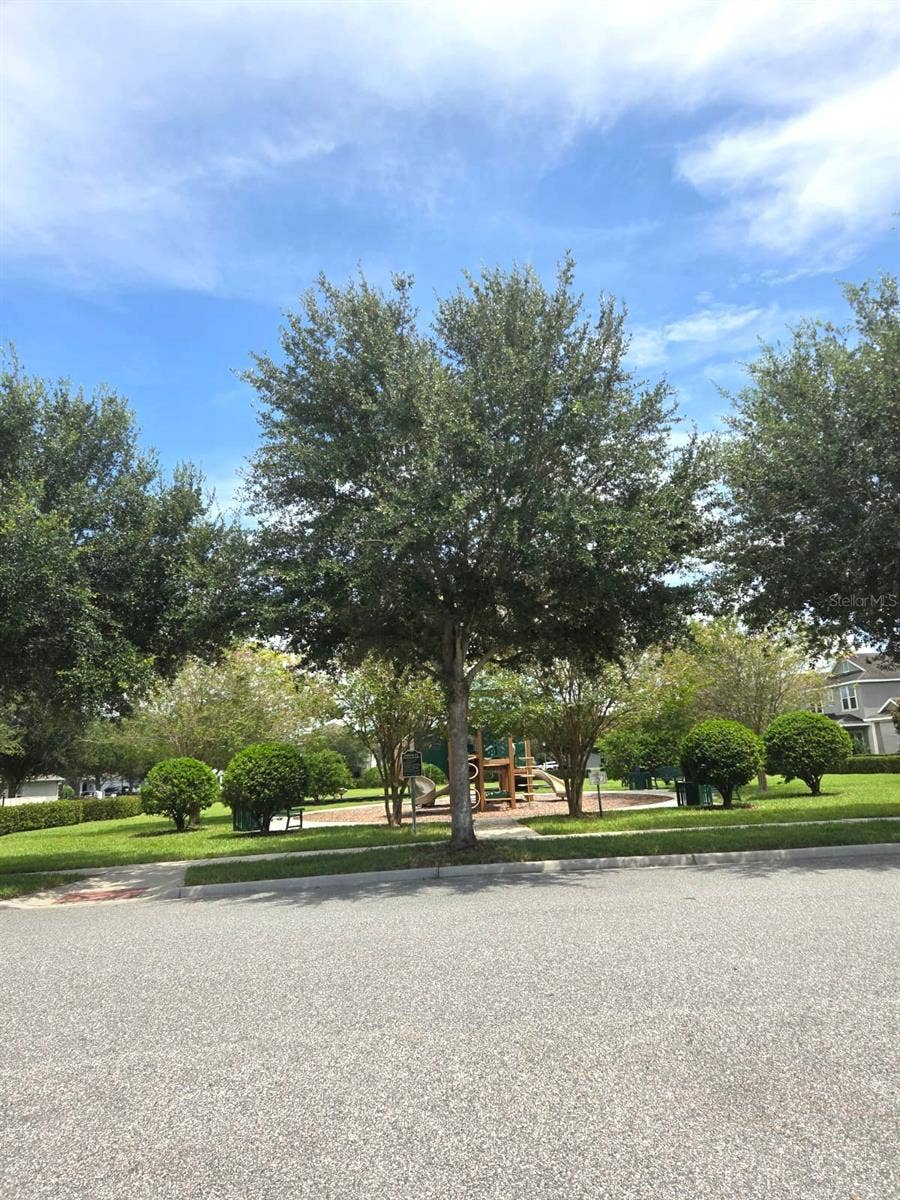 15717 KINNOW MANDARIN LANE, Winter Garden, FL 34787 15717 KINNOW MANDARIN LANE, Winter Garden, FL 34787