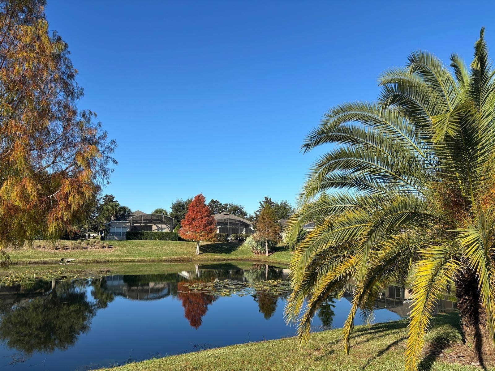 123 MAGELLAN COURT, Davenport, FL 33837