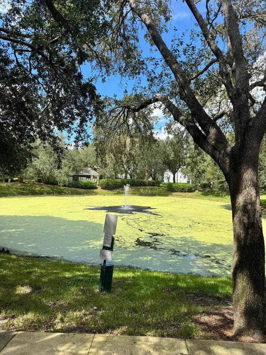 5136 PARK CENTRAL DRIVE, #223, Orlando, FL 32839 5136 PARK CENTRAL DRIVE, #223, Orlando, FL 32839