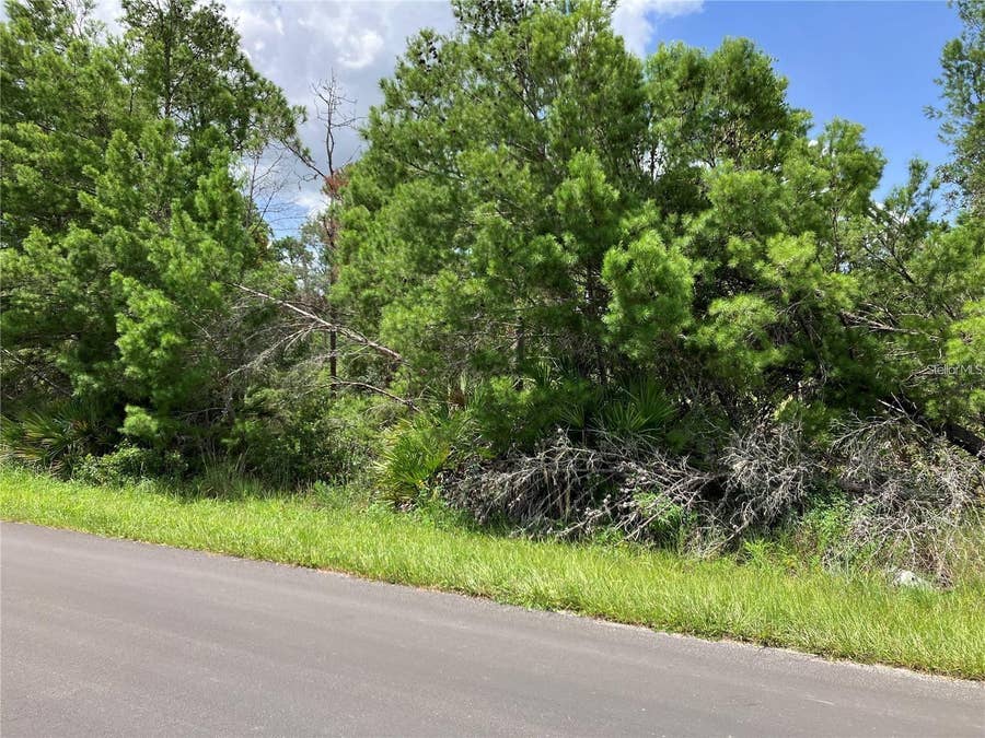 Property photo for FOREHAND ROAD, Davenport, FL