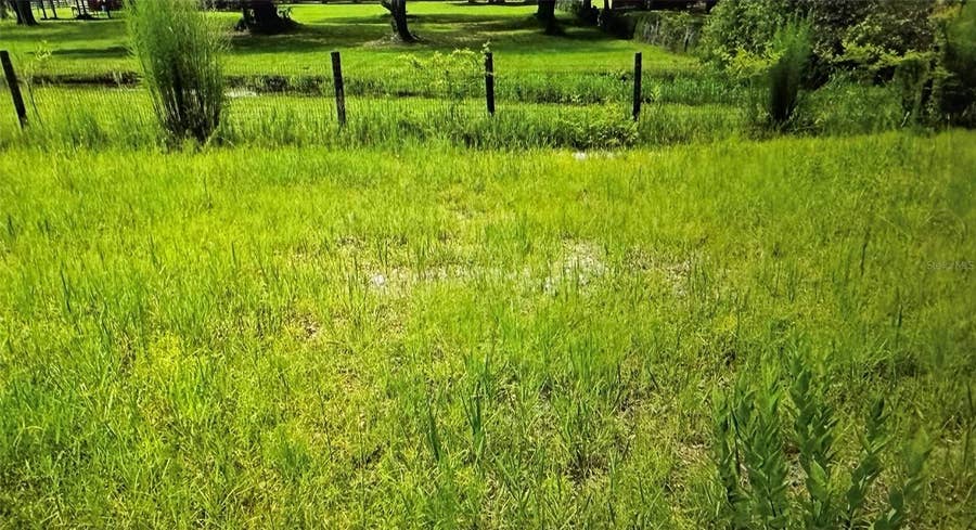 Property photo for COUNTY ROAD 727, Webster, FL