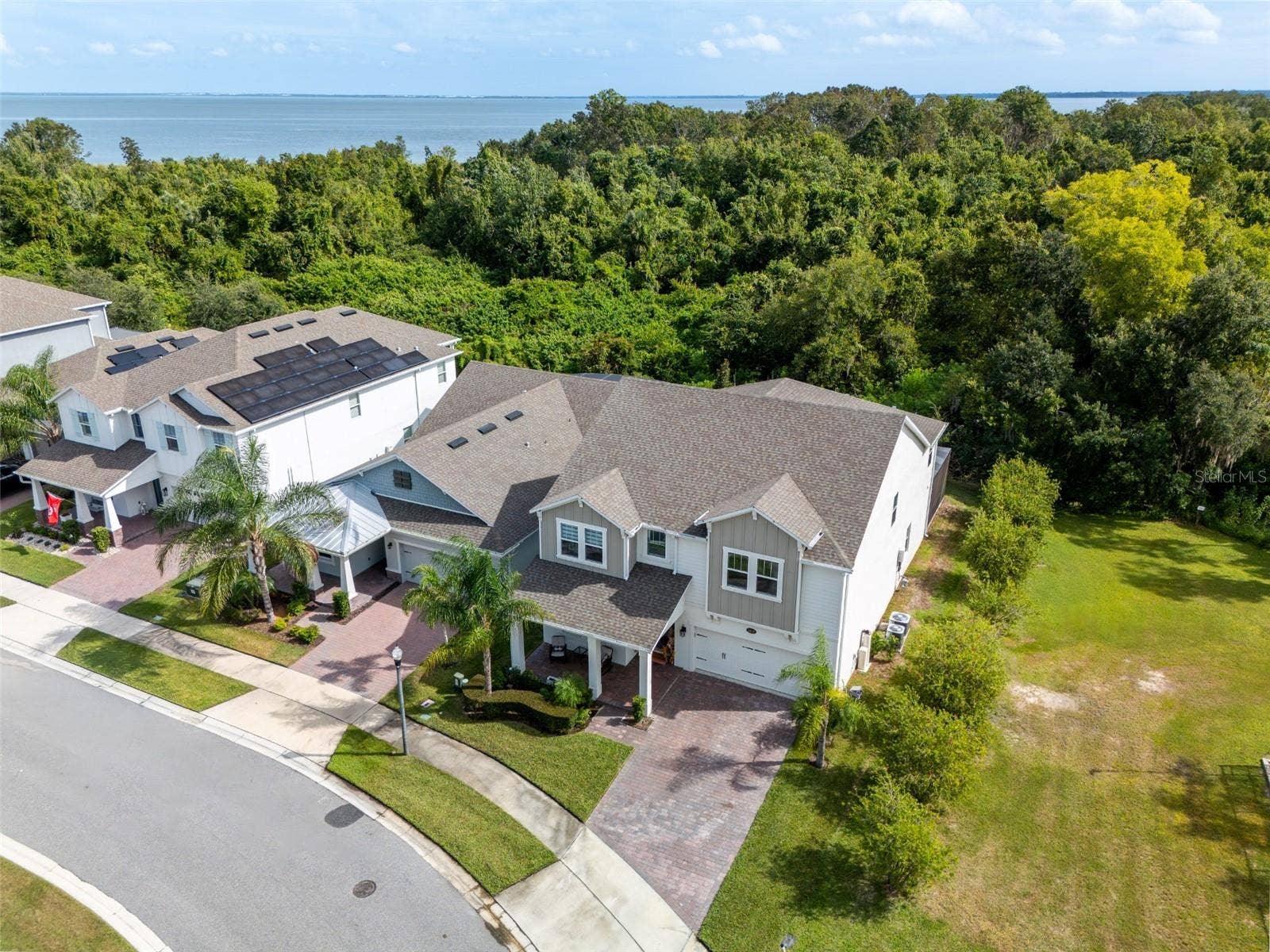 1316 SOUTHERN SUN DRIVE, Oakland, FL 34787 Aerial view showcasing the homes conservation backdrop, no rear neighbors, and the lake beyond.