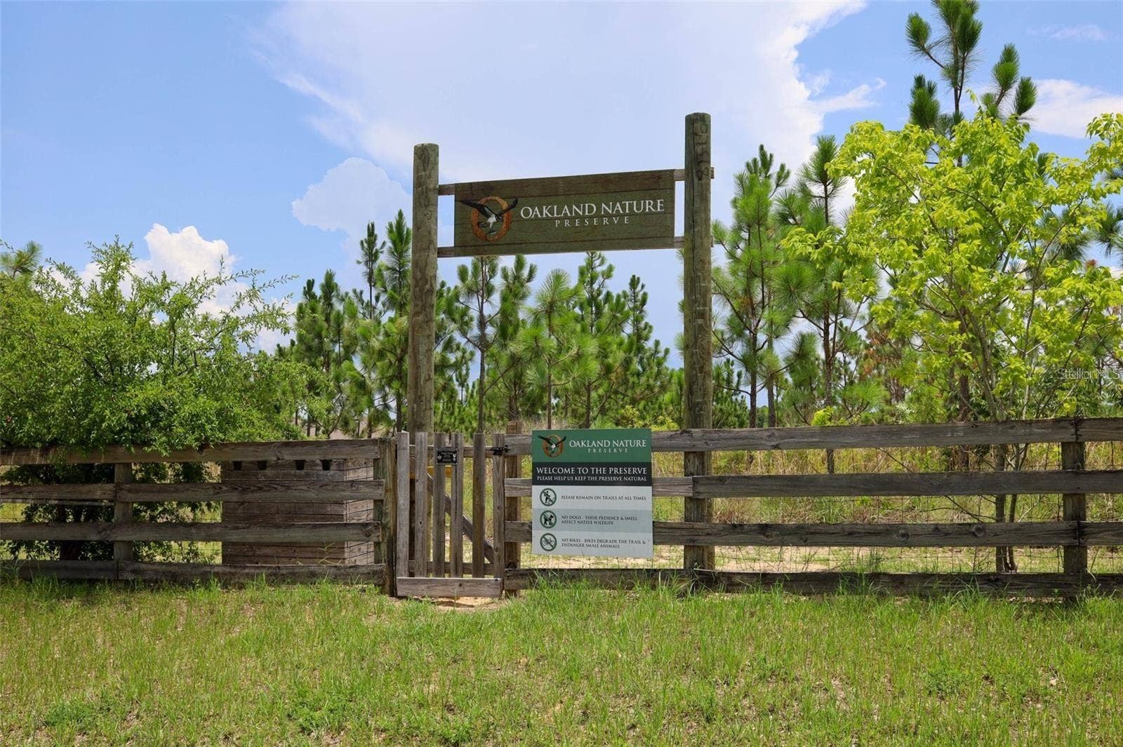 1316 SOUTHERN SUN DRIVE, Oakland, FL 34787 Discover the natural beauty of Oakland Nature Preserve, an inviting escape for outdoor enthusiasts.
