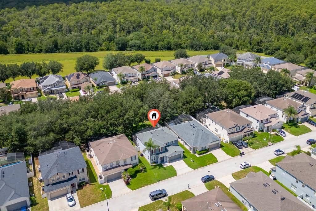241 ANDOVER DRIVE, Davenport, FL 33897