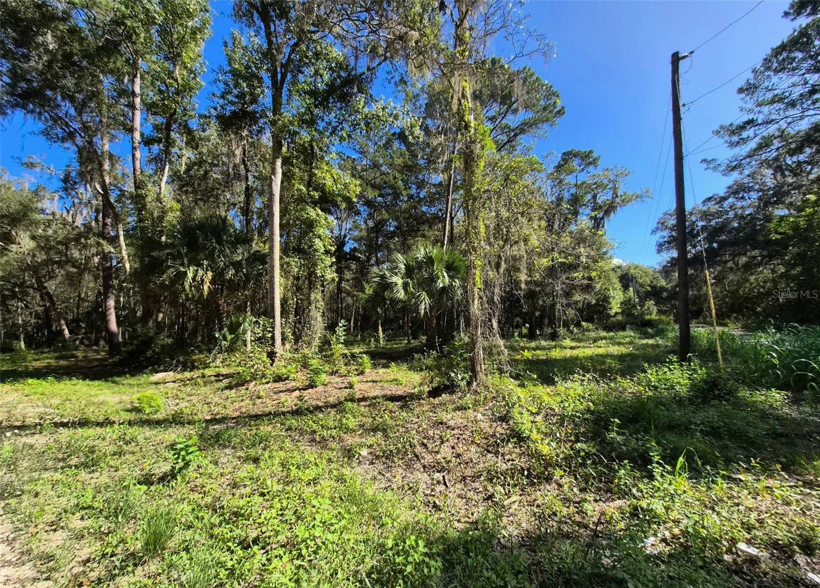0 SW 16TH PLACE, Ocala, FL 34481 0 SW 16TH PLACE, Ocala, FL 34481