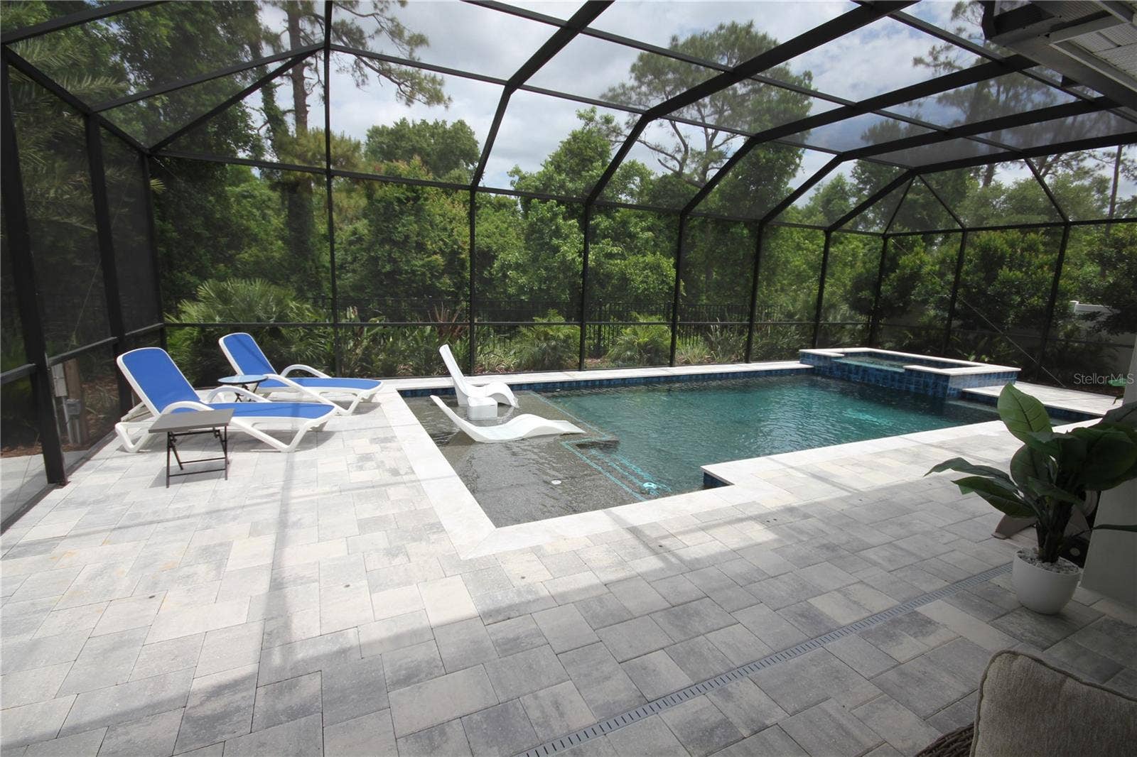 1859 BEACH RIDGE RD, Celebration, FL 34747 SUN SHELF POOL WITH PAVED DECK AND SCREEN ENCLOSURE