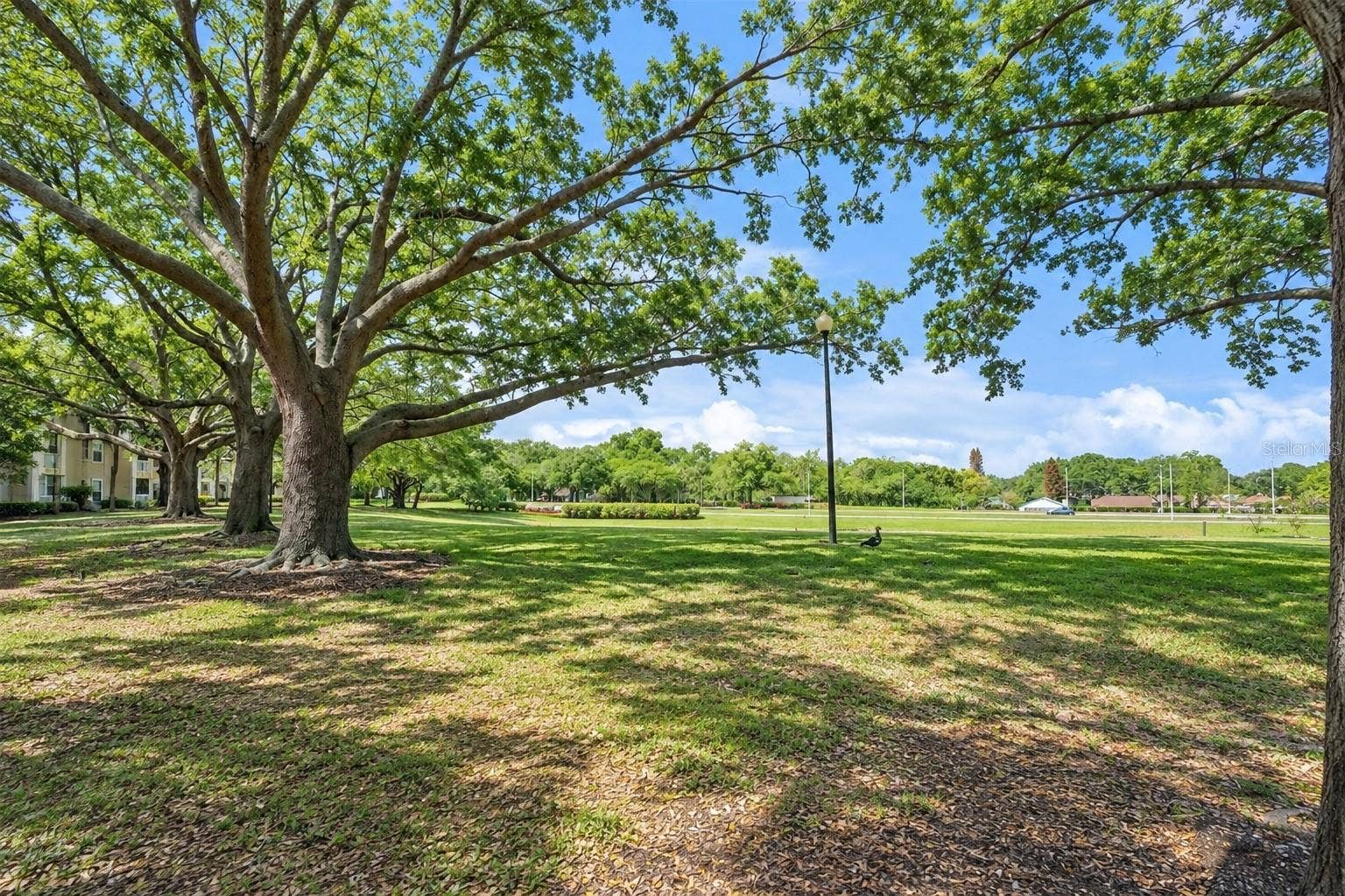 1037 S HIAWASSEE ROAD, #2824, Orlando, FL 32835 Community