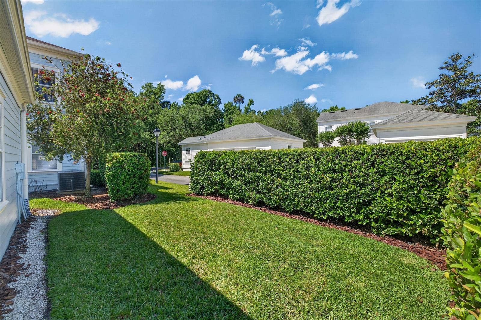 1003 OLD BLUSH ROAD, Celebration, FL 34747 Spacious Backyard