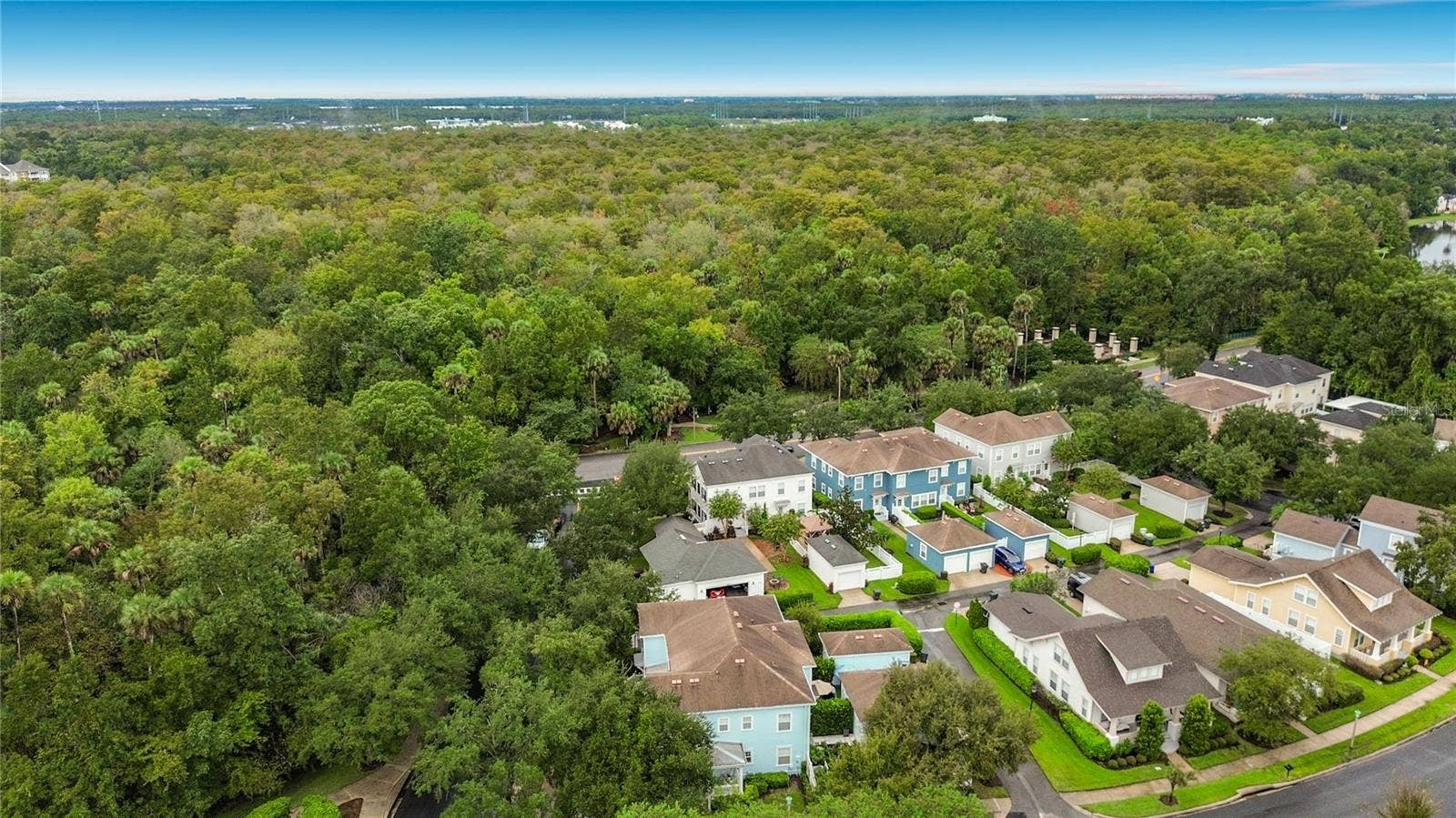 1003 OLD BLUSH ROAD, Celebration, FL 34747 Peaceful and Quiet across from Conservation
