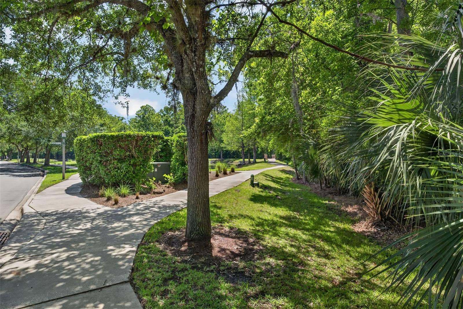 1003 OLD BLUSH ROAD, Celebration, FL 34747 Conservation across the Street