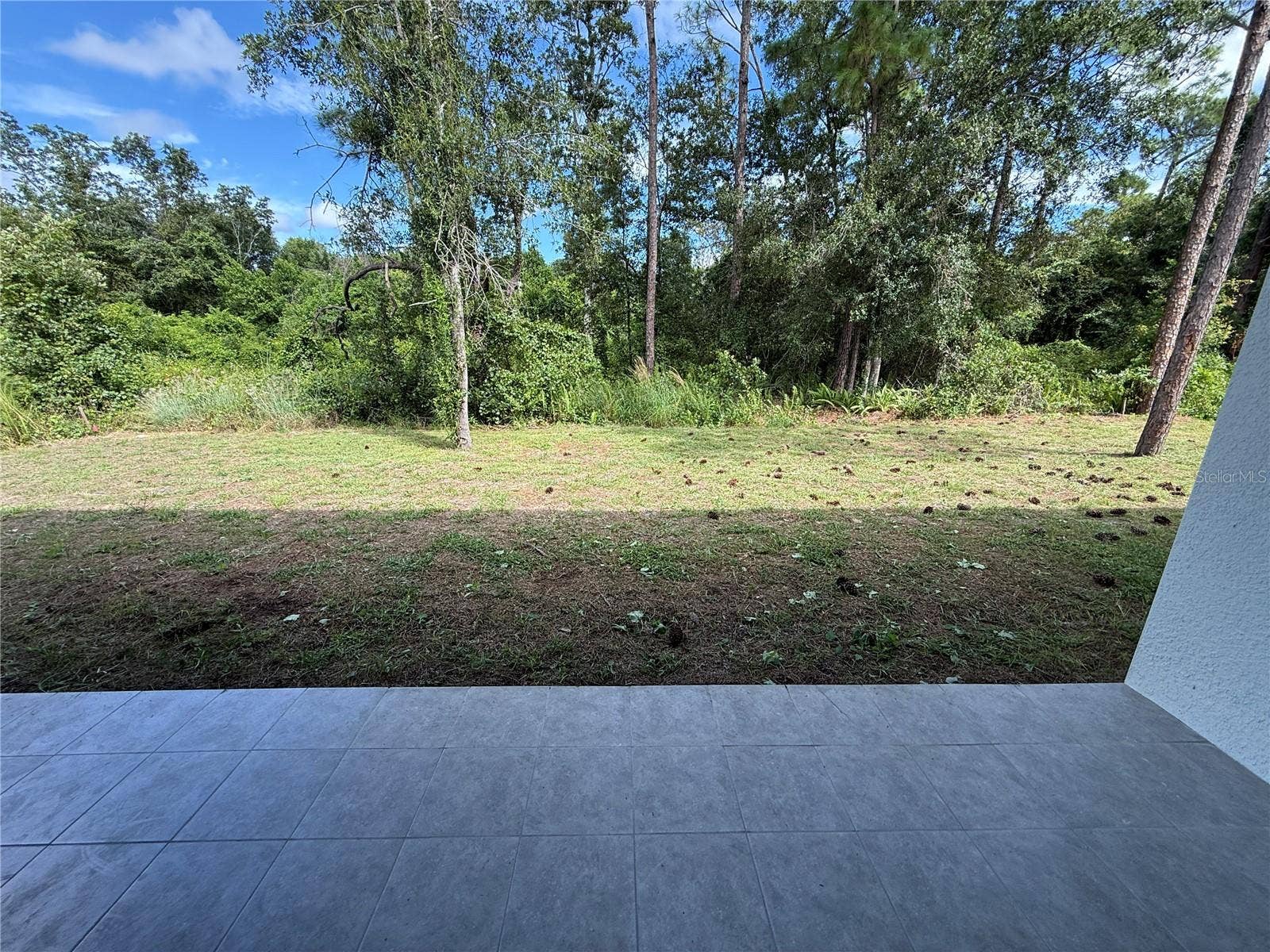 339 ROADRUNNER AVENUE, Sebring, FL 33870 Back Lanai