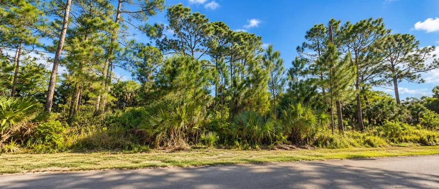 Property photo for 399 HARRINGTON STREET SW, Palm Bay, FL
