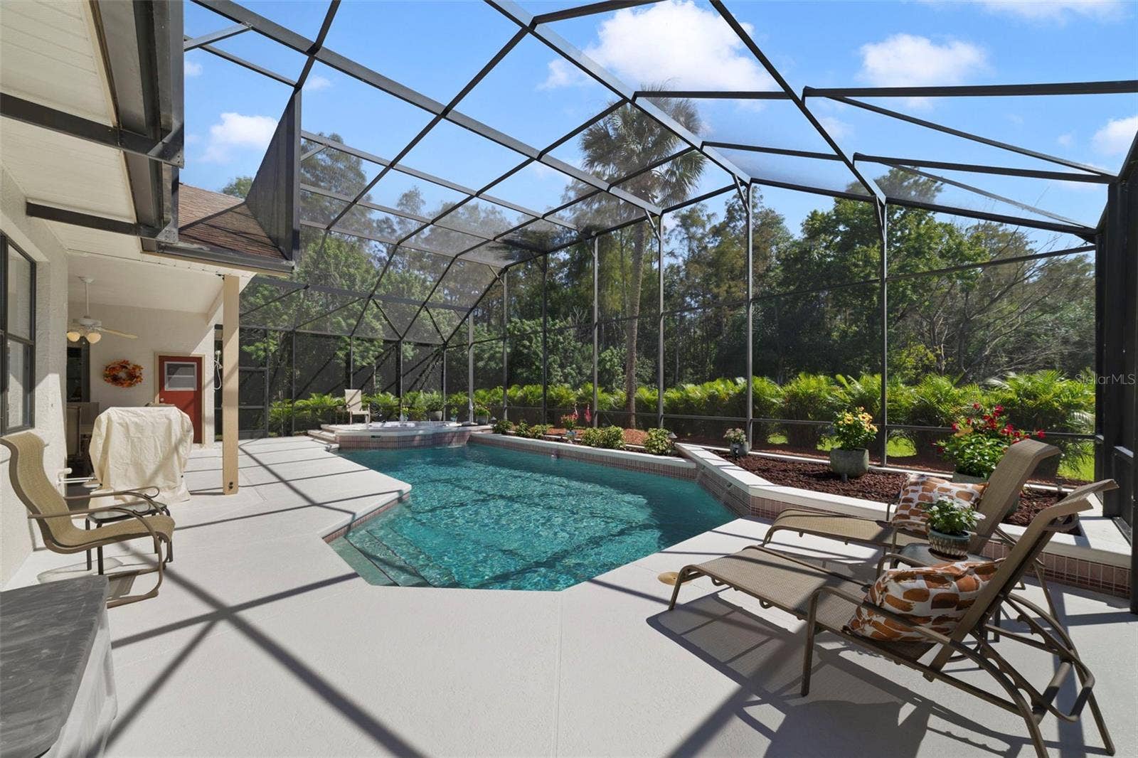 3514 OCITA DRIVE, Orlando, FL 32837 Newly refinished pool deck and screens