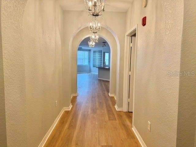 911 N ORANGE AVENUE, #152, Orlando, FL 32801 911 N ORANGE AVENUE, #152, Orlando, FL 32801