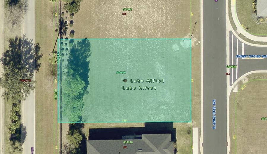 Property photo for 199 BLAZING STAR AVENUE, Lake Alfred, FL