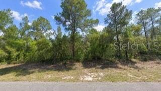 Property photo for 5148 W DEPUTY DRIVE, Beverly Hills, FL