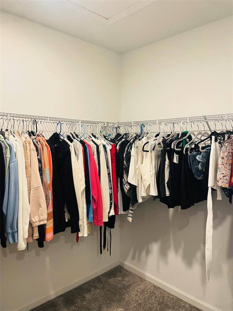 Primary bedroom Walk-in CLoset 8'10"x5'4"