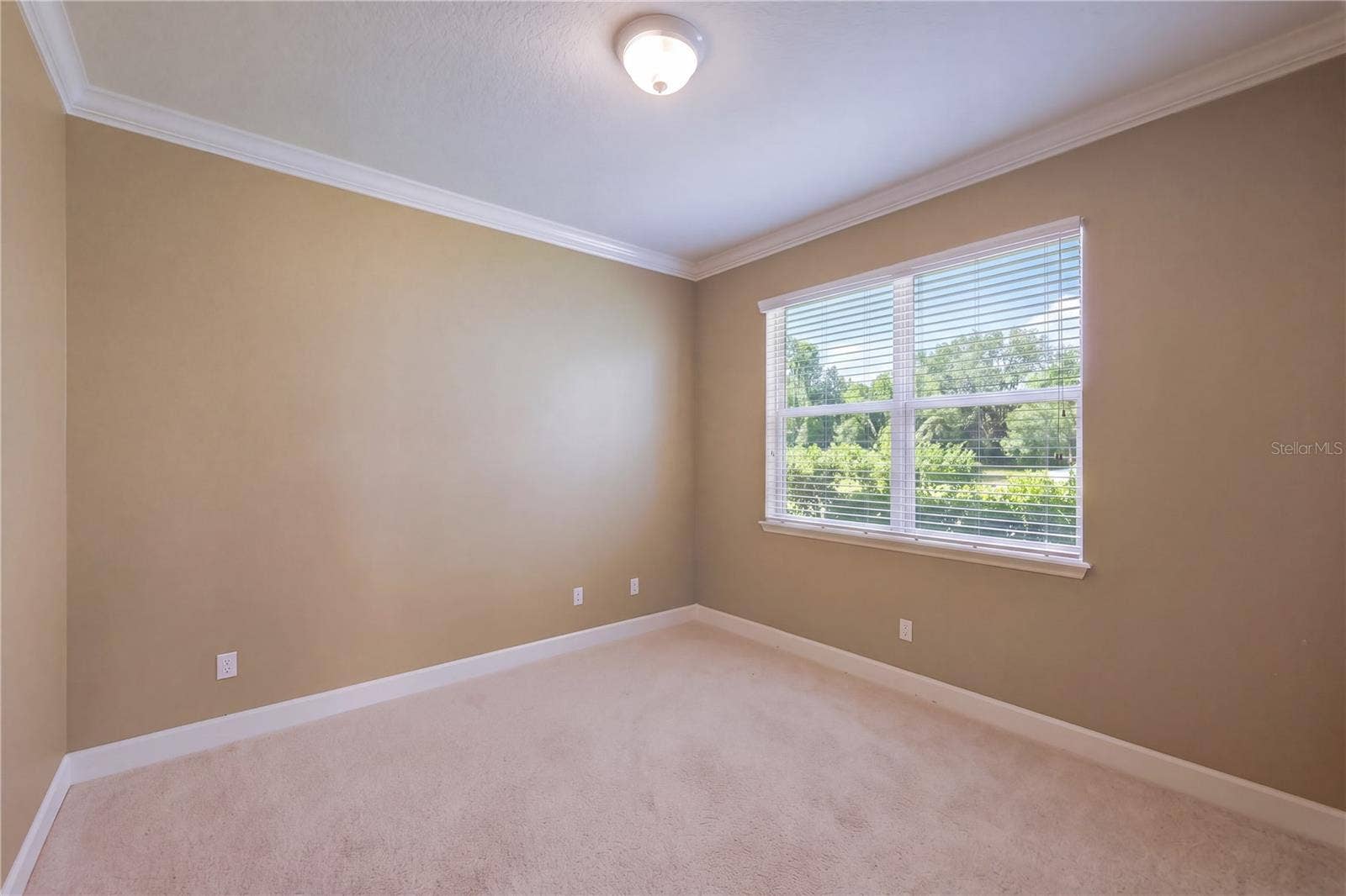 11843 PADUA LANE, Orlando, FL 32827 11843 PADUA LANE, Orlando, FL 32827