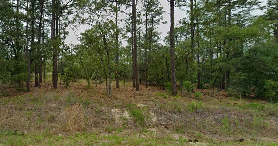 Property photo for SOUTHEAST 129TH COURT, Dunnellon, FL