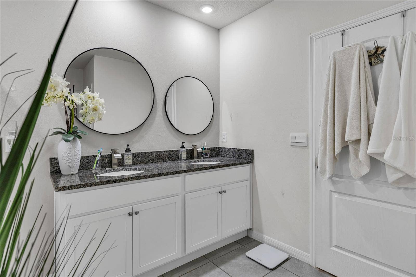 9691 BLACK WALNUT DRIVE, Clermont, FL 34715 9691 BLACK WALNUT DRIVE, Clermont, FL 34715