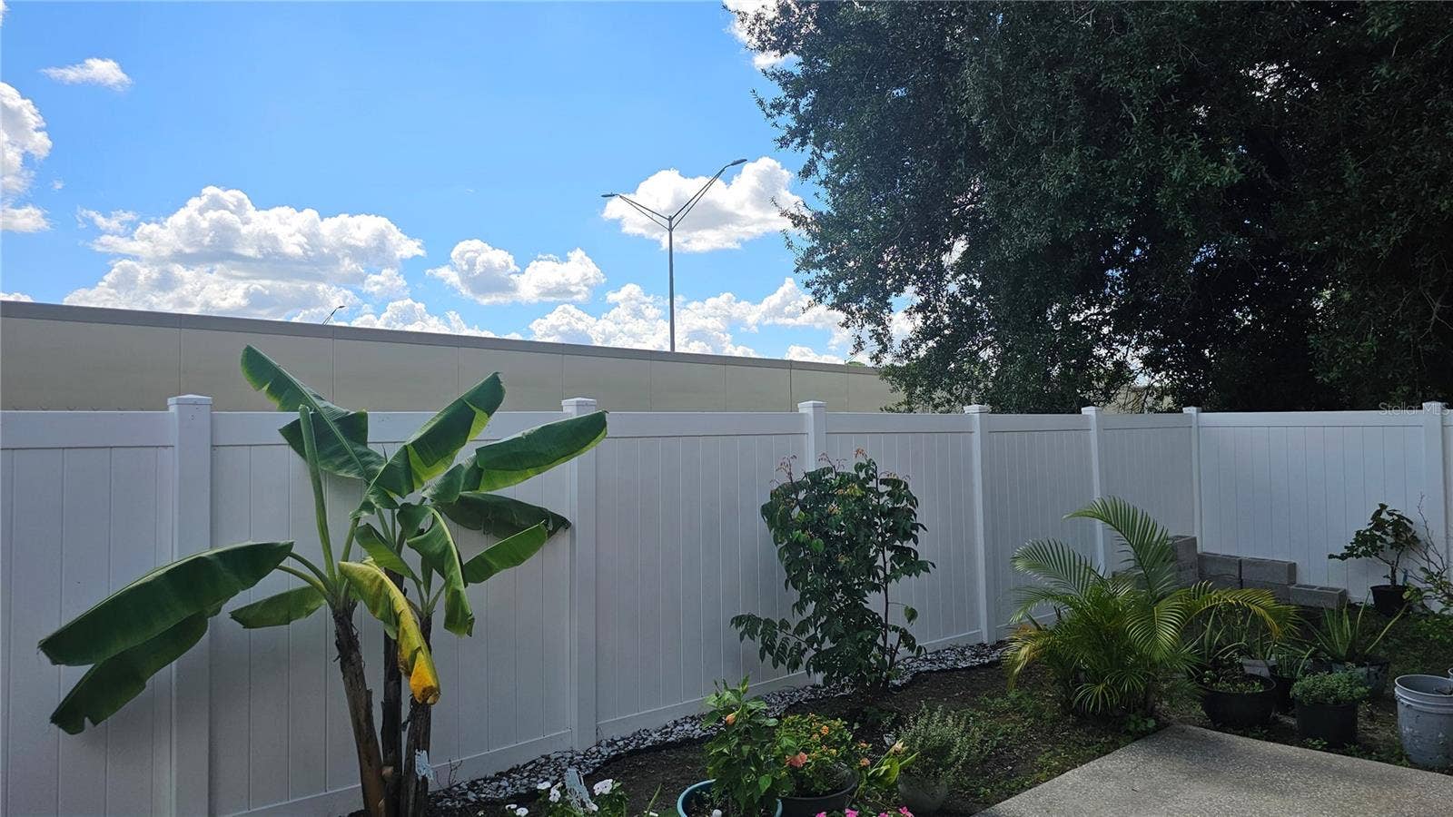 8632 FOLEY DRIVE, Orlando, FL 32825 Backyard w/Tropical Fruit Trees