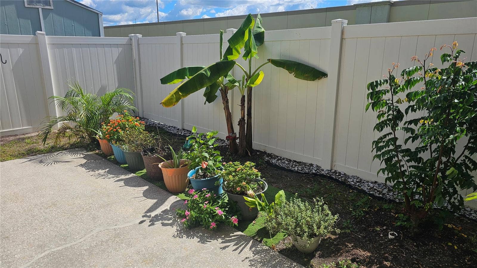 8632 FOLEY DRIVE, Orlando, FL 32825 Backyard w/Fruit Trees & Vinyl Fenceard