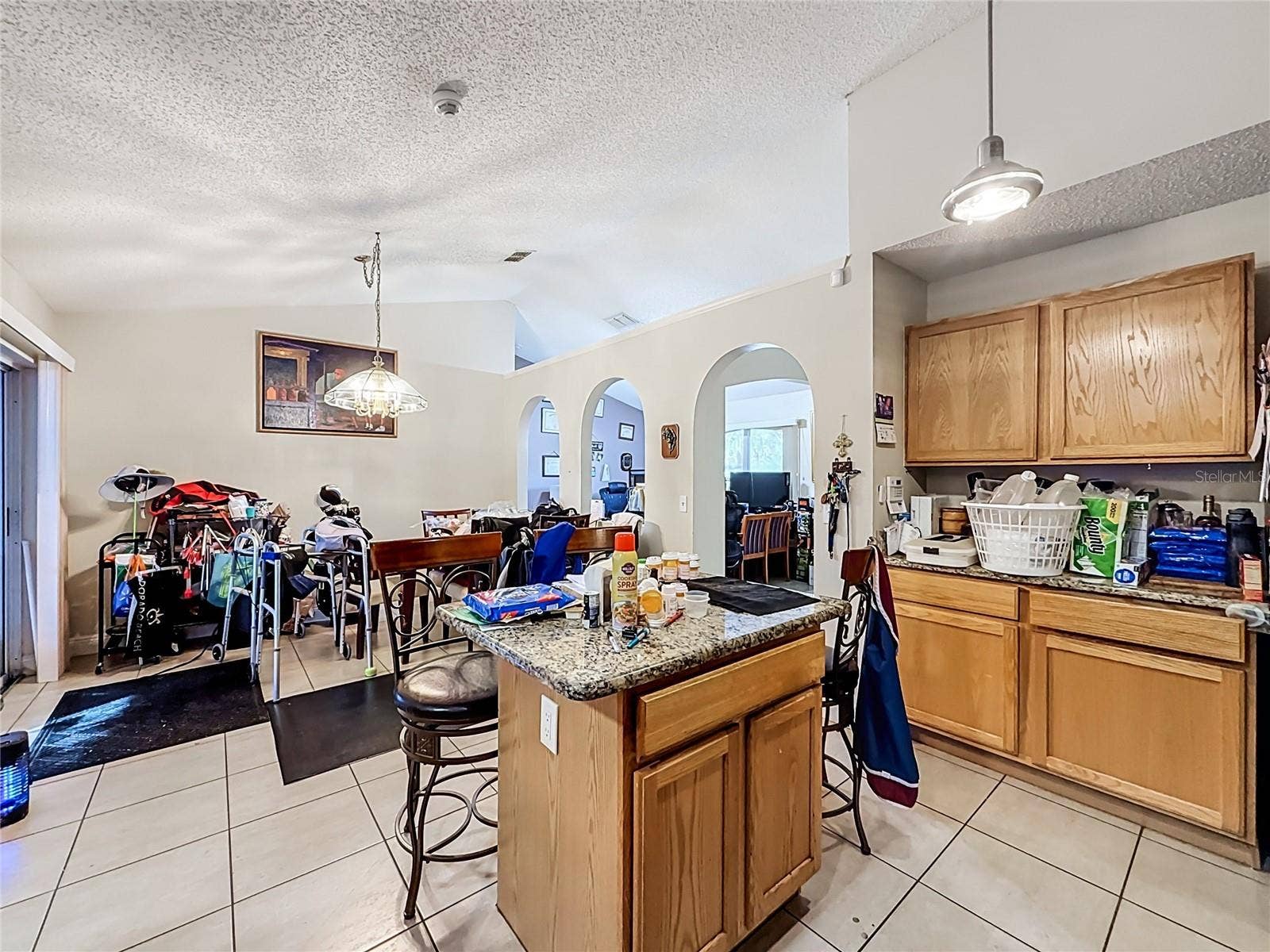 564 BRIMMING LAKE ROAD, Minneola, FL 34715 564 BRIMMING LAKE ROAD, Minneola, FL 34715
