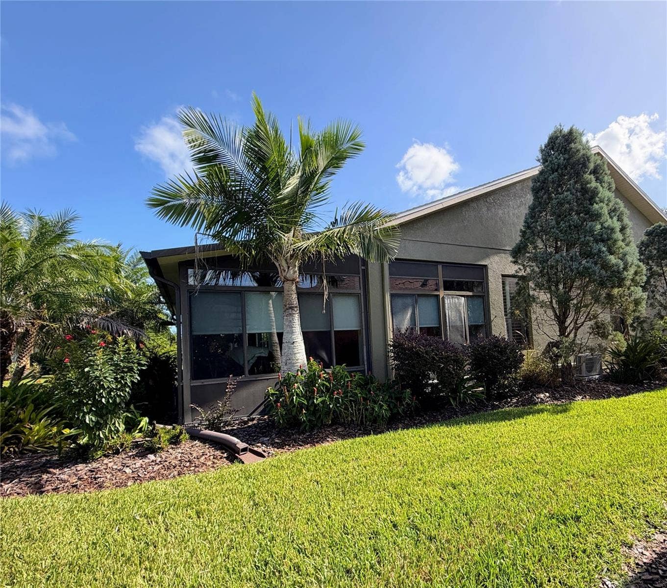 265 INDIAN WELLS AVENUE, Poinciana, FL 34759 Side Yard