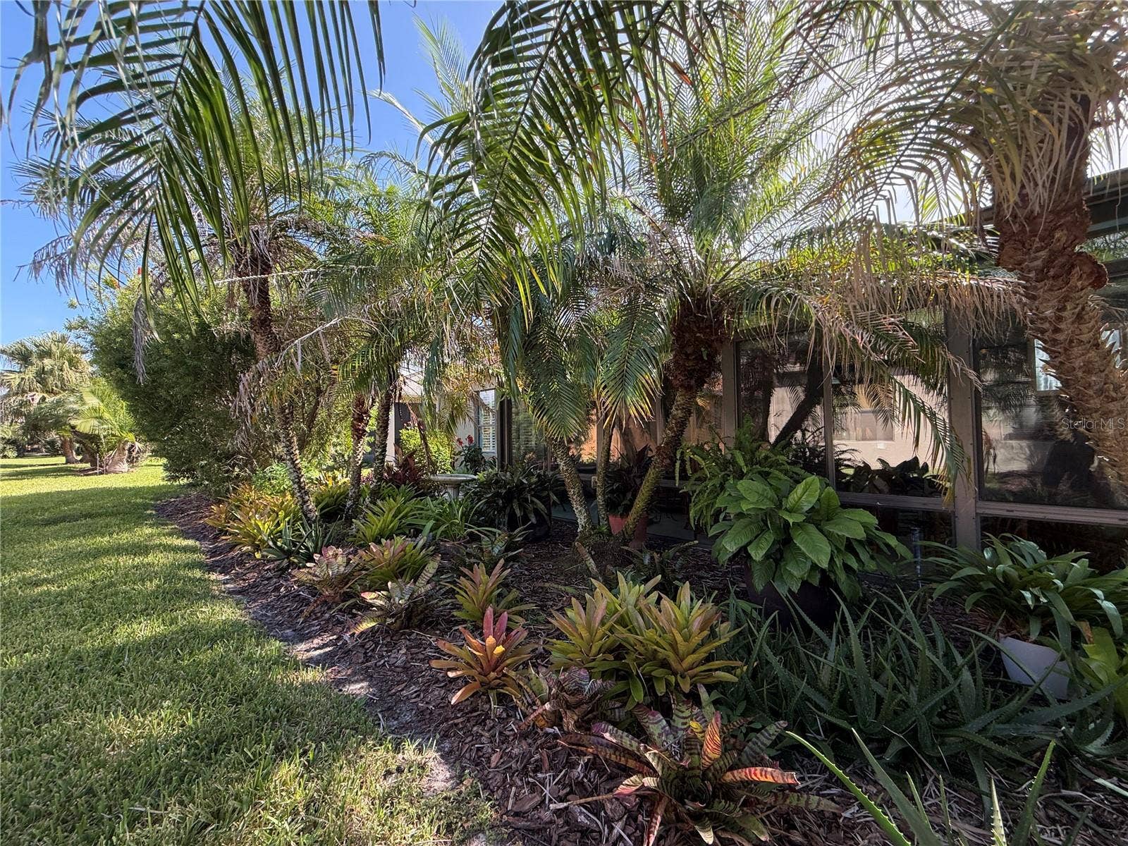 265 INDIAN WELLS AVENUE, Poinciana, FL 34759 Privacy Landscaping in Backyard
