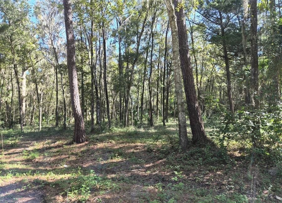 Property photo for 0 SW 16TH PLACE, Ocala, FL