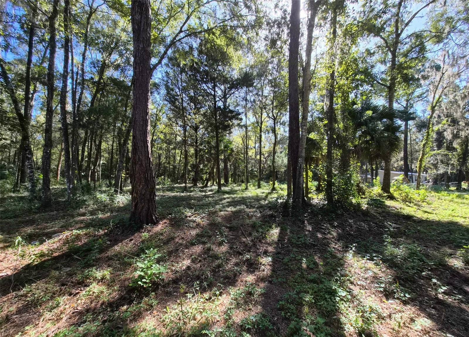 0 SW 16TH PLACE, Ocala, FL 34481 0 SW 16TH PLACE, Ocala, FL 34481