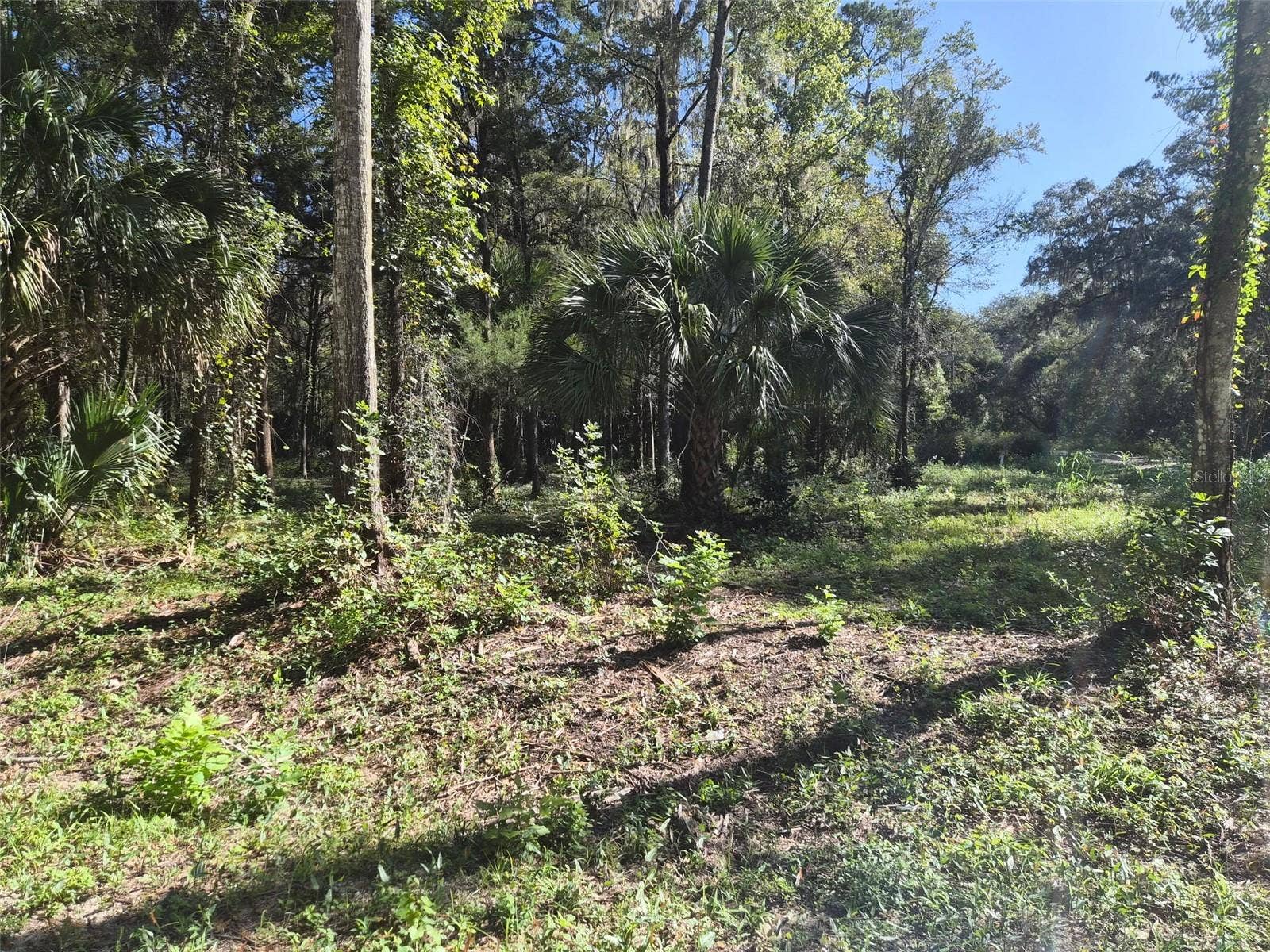 0 SW 16TH PLACE, Ocala, FL 34481 0 SW 16TH PLACE, Ocala, FL 34481