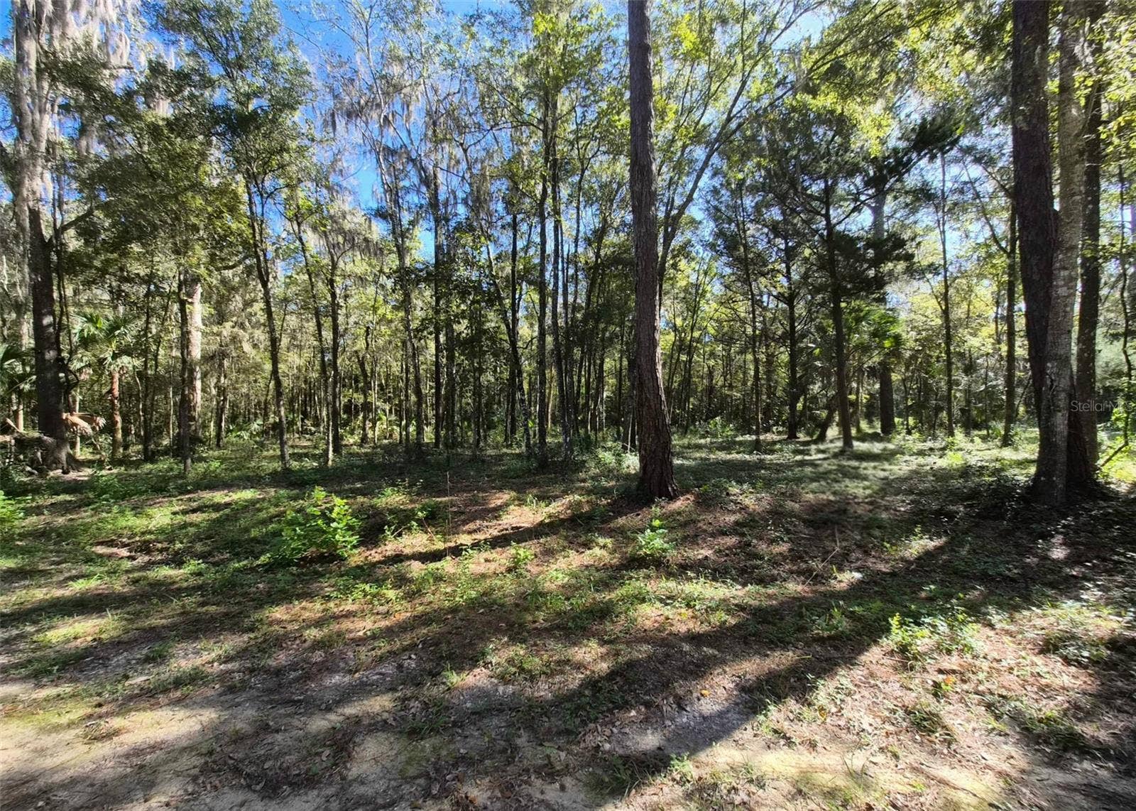 0 SW 16TH PLACE, Ocala, FL 34481 0 SW 16TH PLACE, Ocala, FL 34481