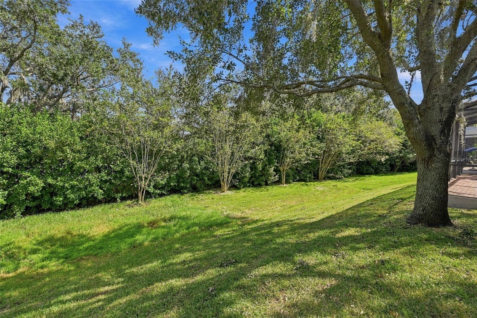2139 TILLMAN AVENUE, Winter Garden, FL 34787 Backyard