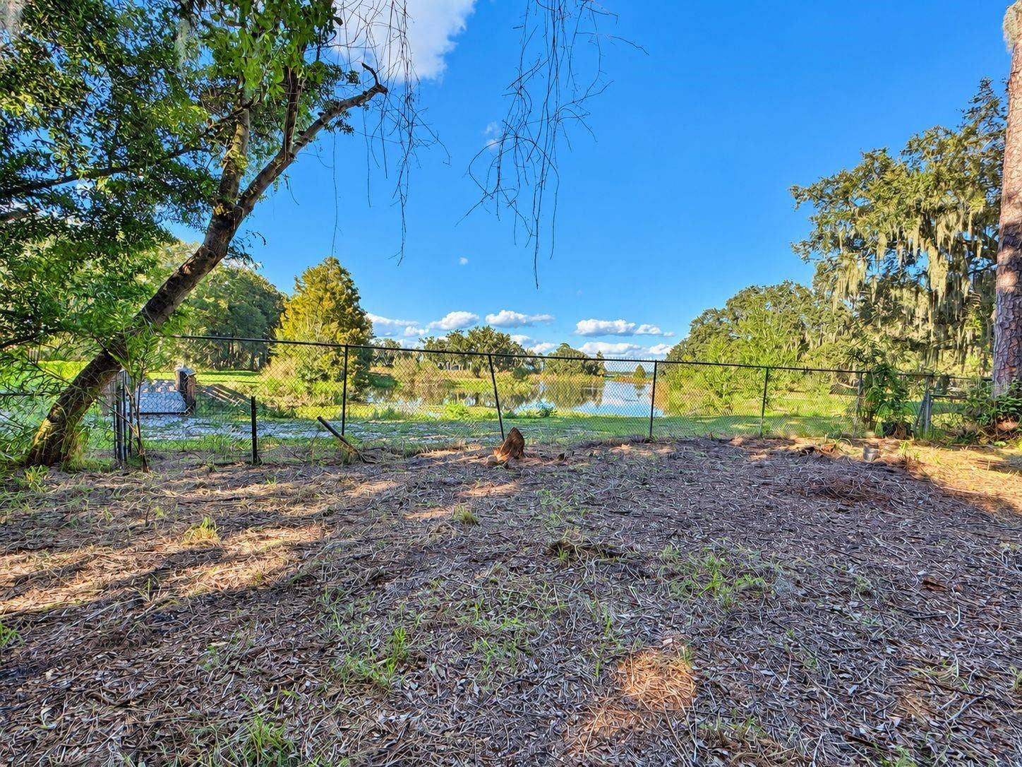 701 MARIANNA ROAD, Auburndale, FL 33823 View from the back of the property