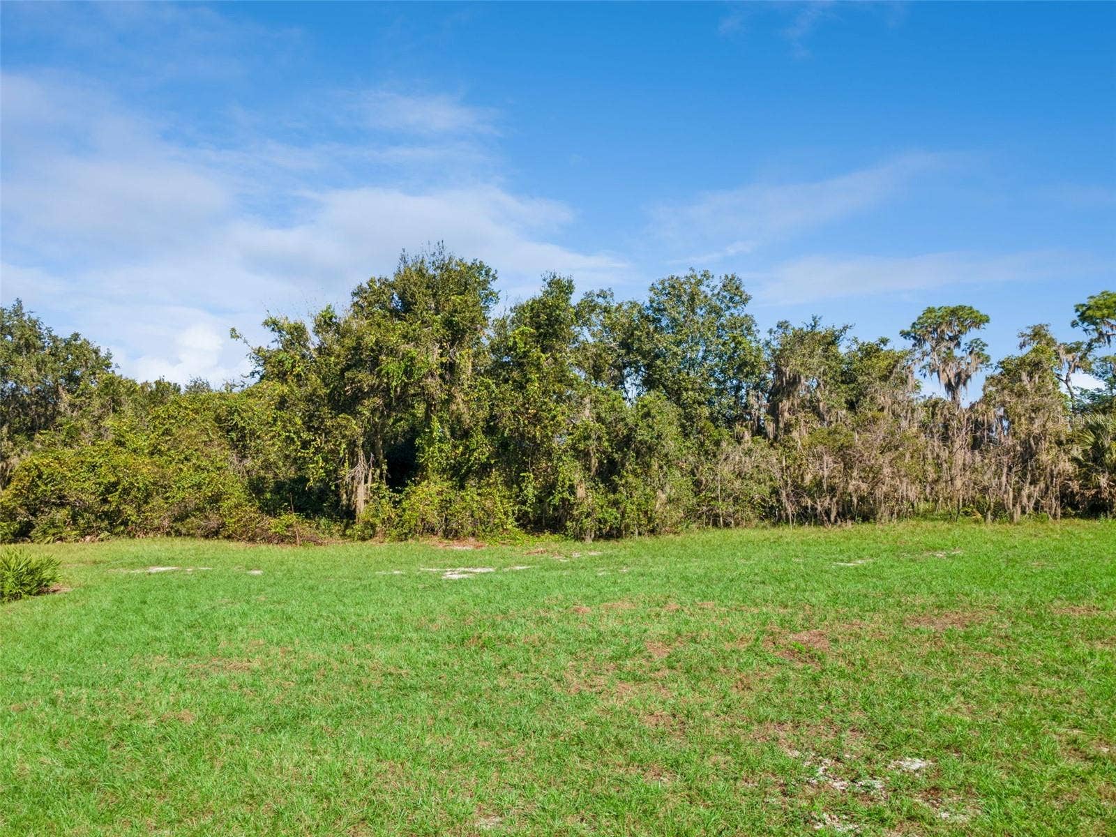 742 N LAKE REEDY BOULEVARD, Frostproof, FL 33843 742 N LAKE REEDY BOULEVARD, Frostproof, FL 33843