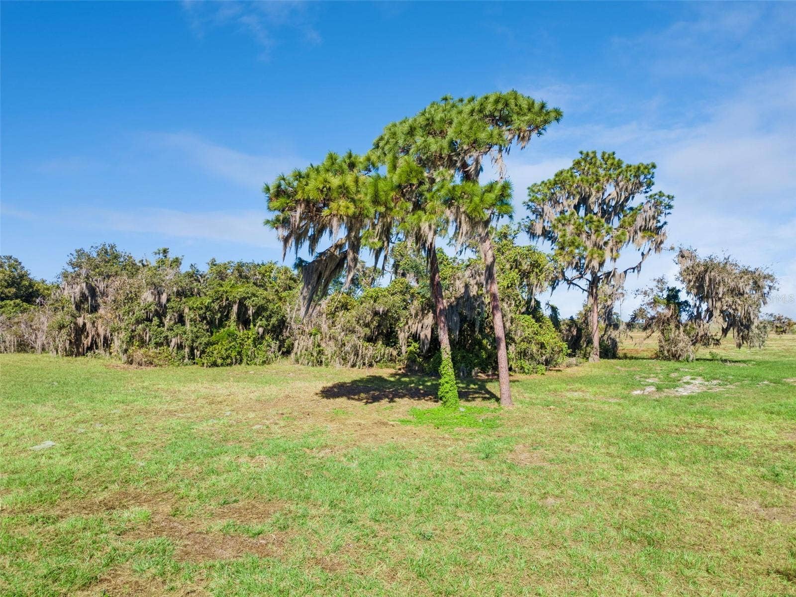 742 N LAKE REEDY BOULEVARD, Frostproof, FL 33843 742 N LAKE REEDY BOULEVARD, Frostproof, FL 33843