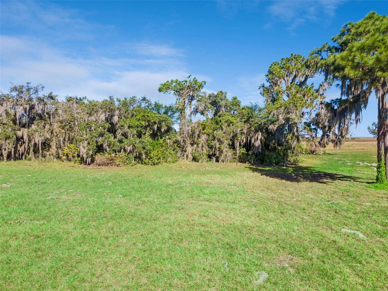 742 N LAKE REEDY BOULEVARD, Frostproof, FL 33843 742 N LAKE REEDY BOULEVARD, Frostproof, FL 33843