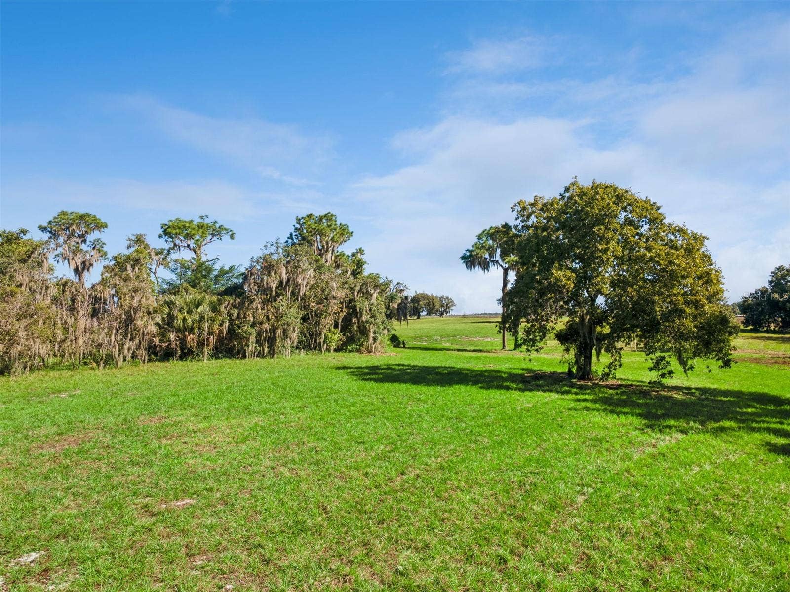 742 N LAKE REEDY BOULEVARD, Frostproof, FL 33843 742 N LAKE REEDY BOULEVARD, Frostproof, FL 33843
