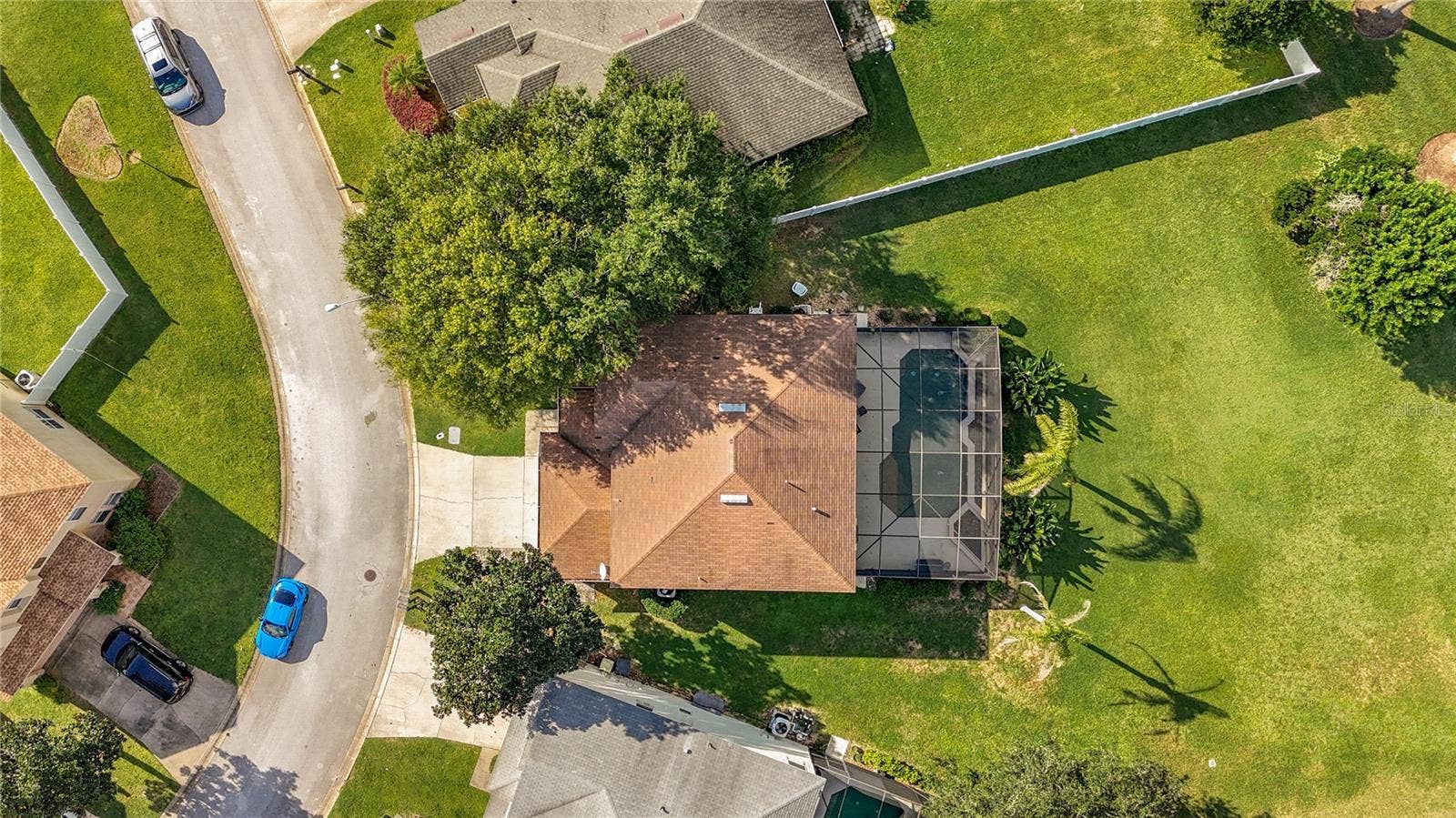 Oversized LOT!!