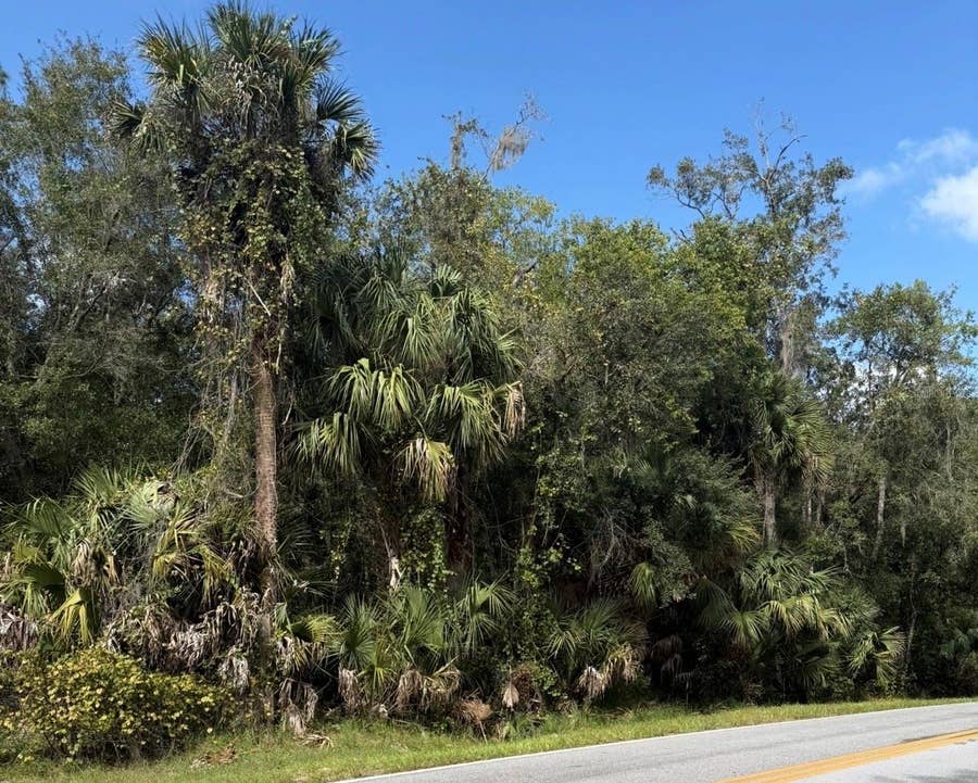 Property photo for OLD KISSIMMEE ROAD, Davenport, FL