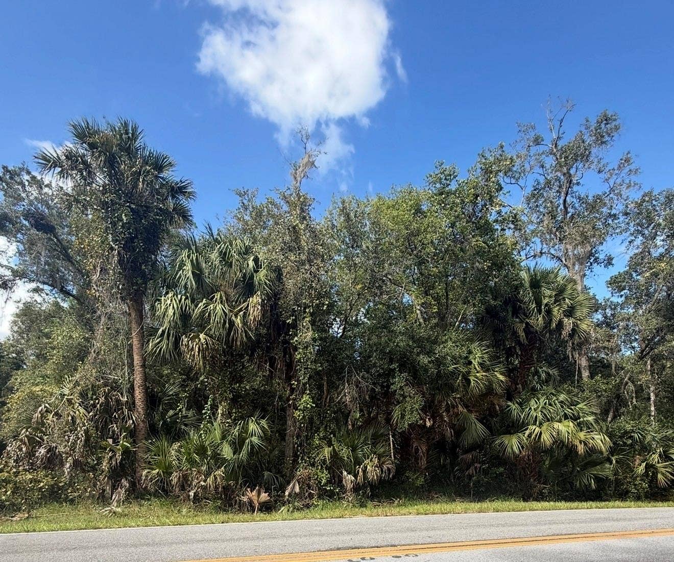 OLD KISSIMMEE ROAD, Davenport, FL 33896