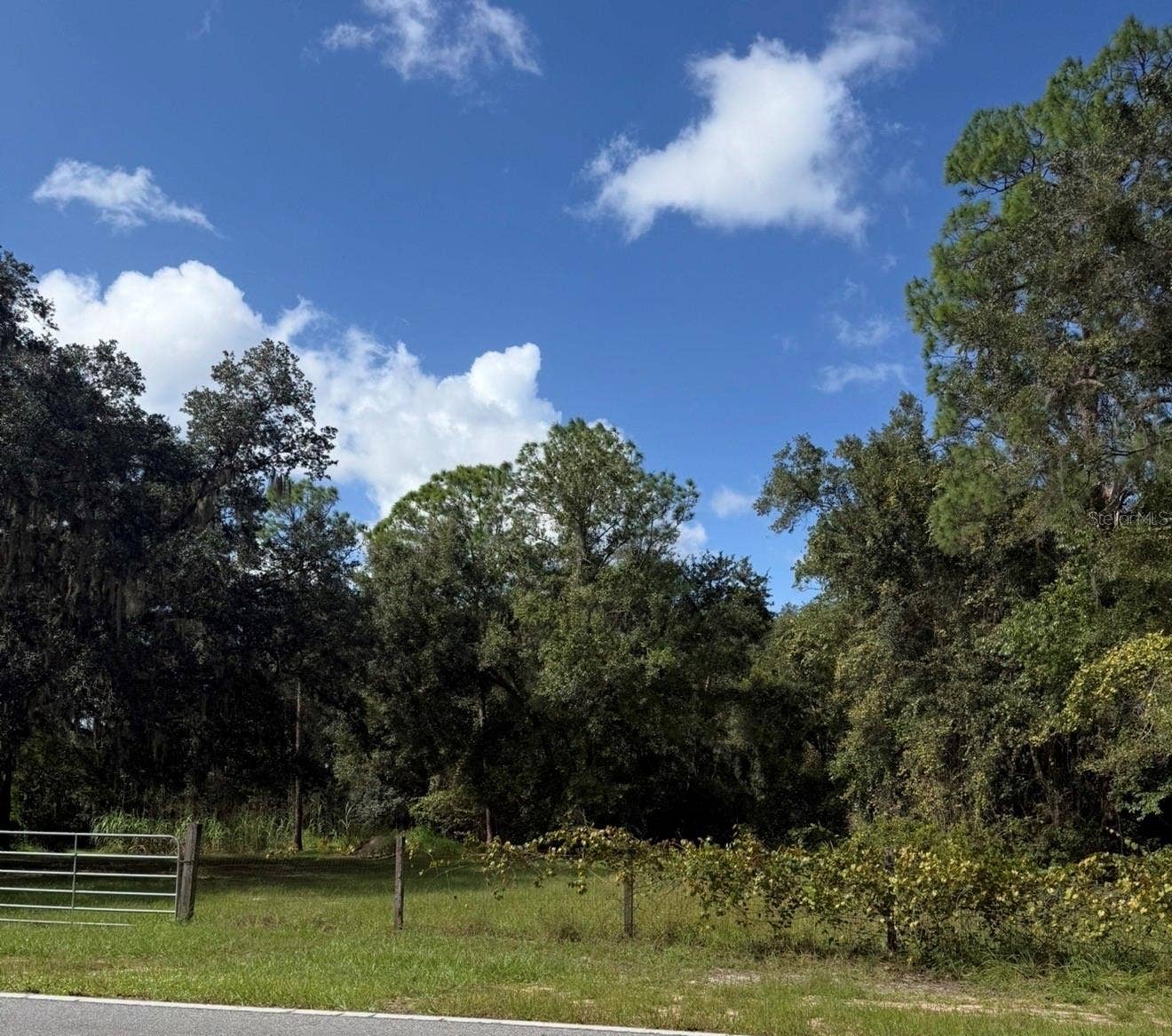OLD KISSIMMEE ROAD, Davenport, FL 33896
