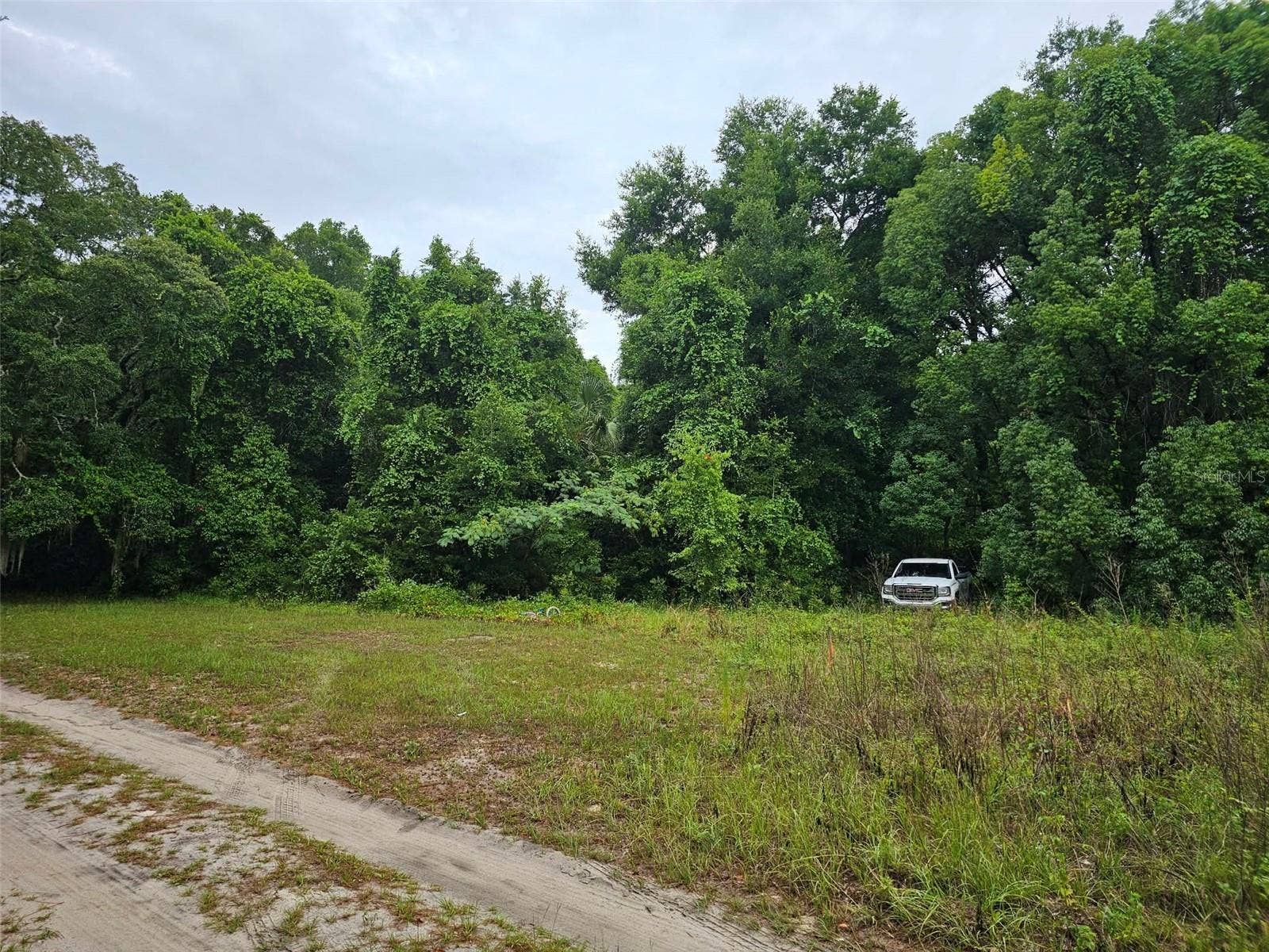 0 SE 140TH LOT 19, TERRACE CT, Ocklawaha, FL 32179