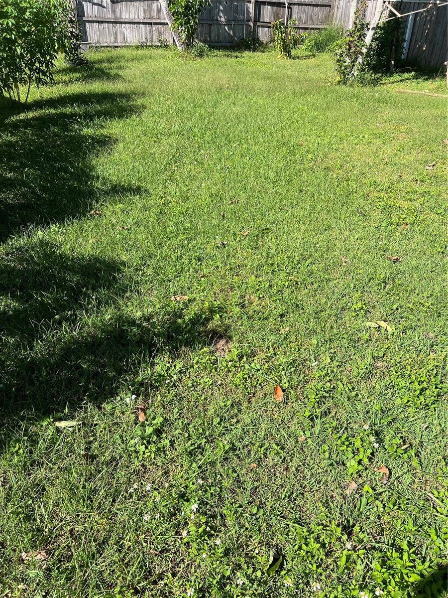 1557 WYMAN CIRCLE, Kissimmee, FL 34744 Left side Exterior