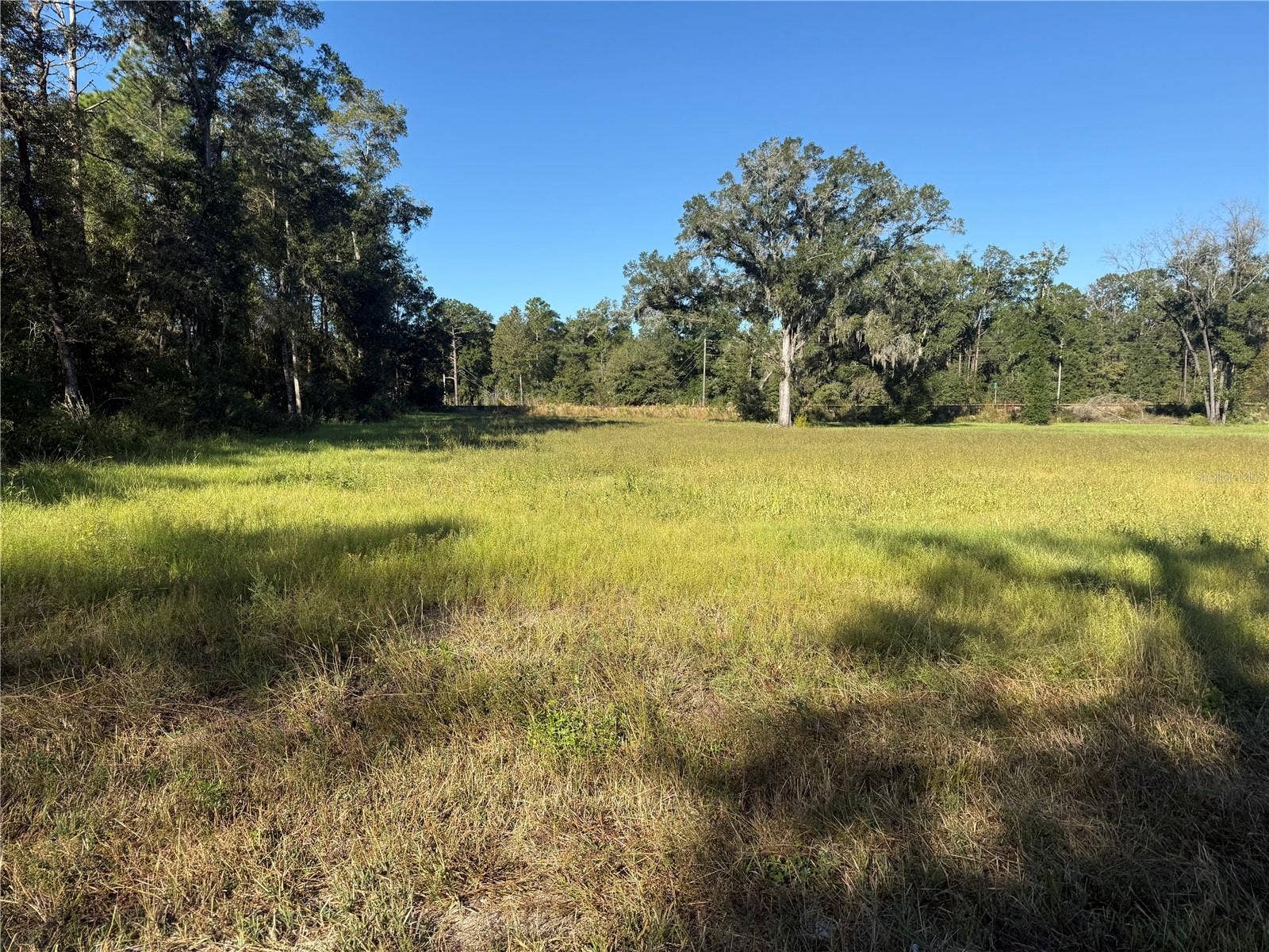 194 AVENUE SW, Dunnellon, FL 34432