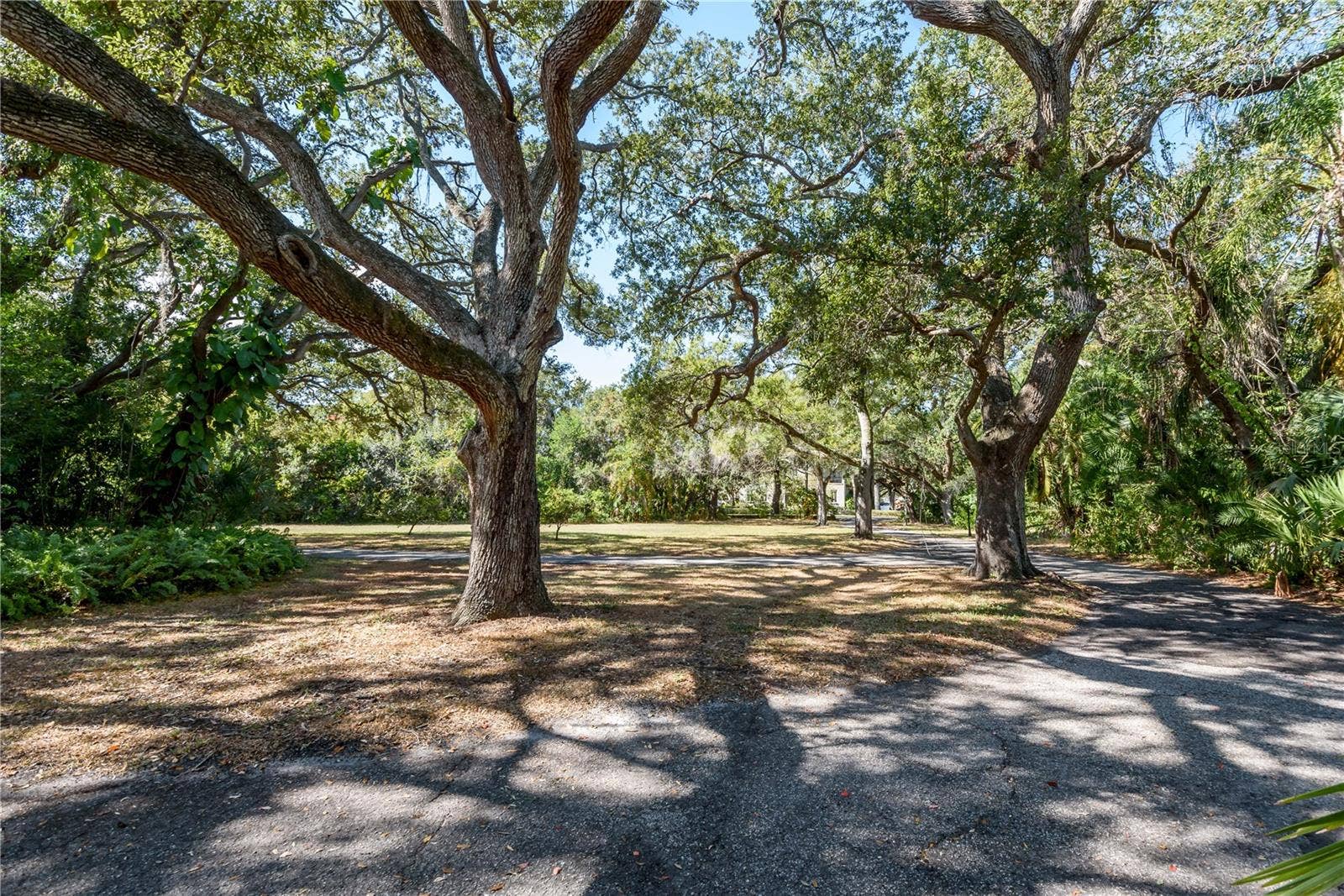 6210 BAYSHORE BOULEVARD, Tampa, FL 33611 6210 BAYSHORE BOULEVARD, Tampa, FL 33611