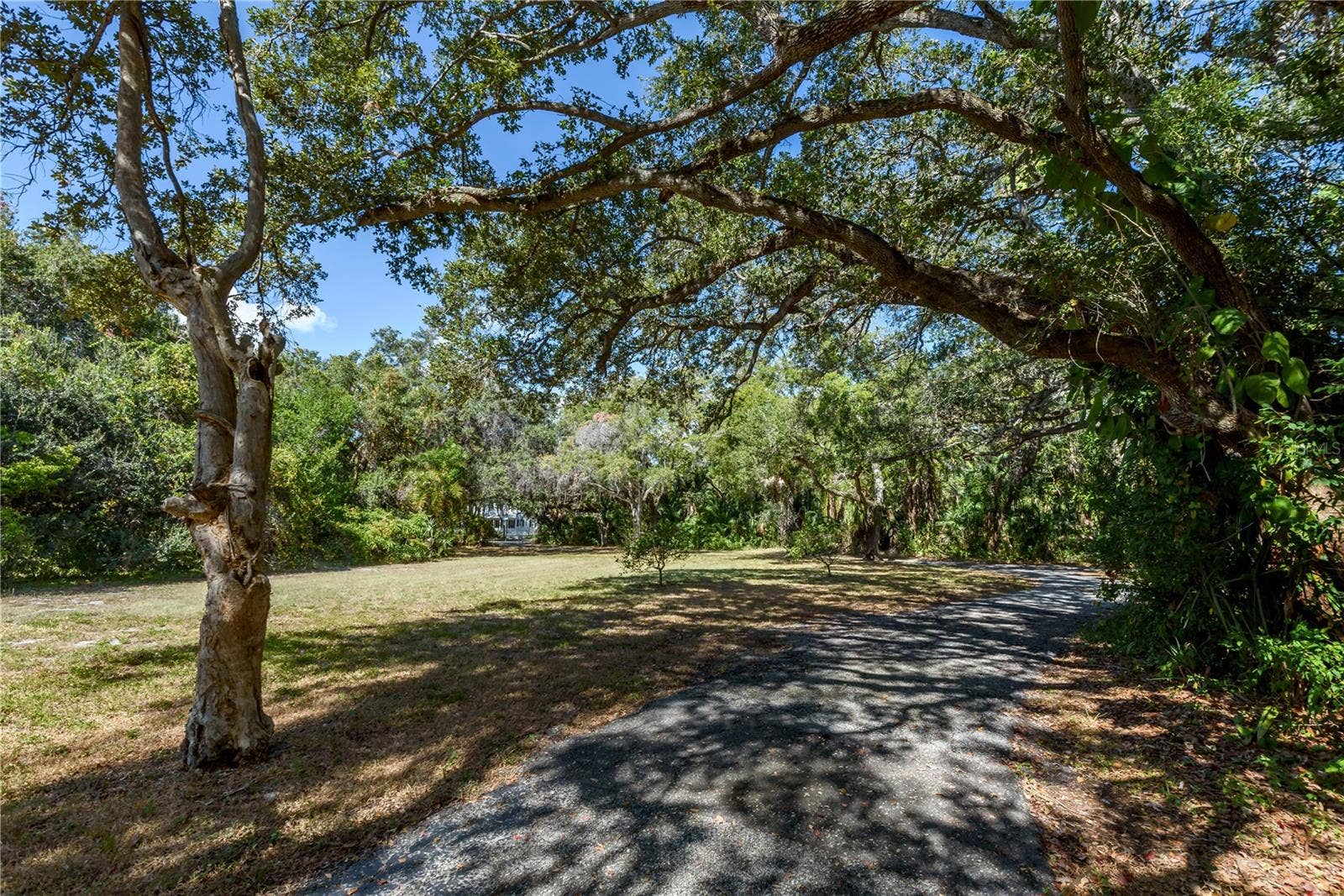 6210 BAYSHORE BOULEVARD, Tampa, FL 33611 6210 BAYSHORE BOULEVARD, Tampa, FL 33611